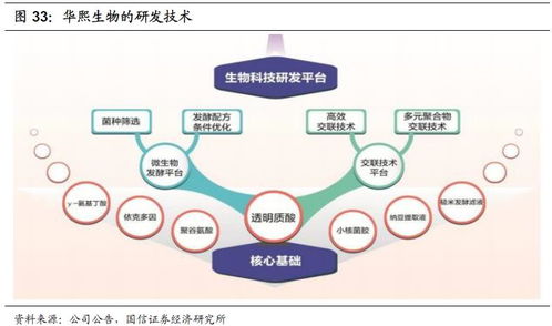 化妝品行業2020年投資展望 產品先行，流量催化，資本助力